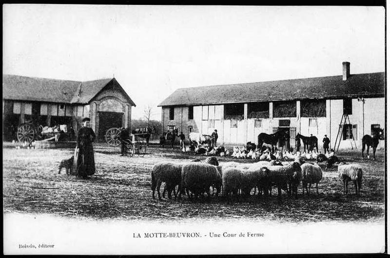Vue de la cour de la ferme en pleine activité.