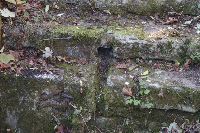 Au lieudit La Corne du Bois, vis à vis de douze caves creusées dans le coteau, une petite fontaine à laquelle on accède grâce à trois marches. Un petit aqueduc permet d'évacuer le trop plein d'eau vers la Loire..