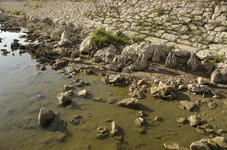 La face nord du duit et alignement de pieux, en amont du pont Royal, été 2005.