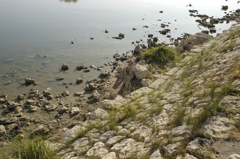 La face nord du duit et alignement de pieux, amont du pont Royal, été 2005.