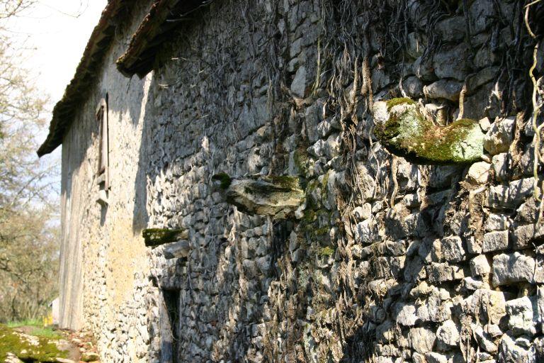 Ferme