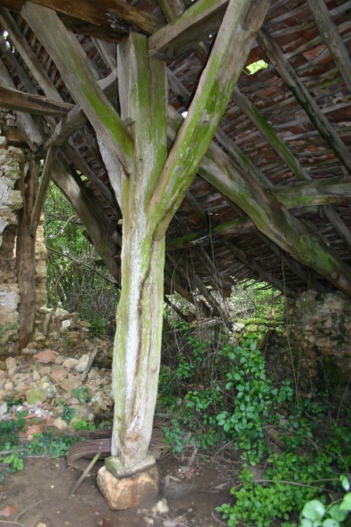 Détail de charpente.