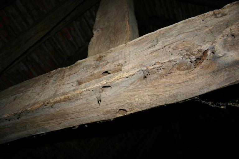 Charpente de l'habitation.
