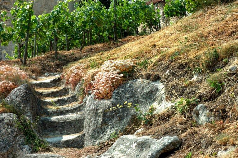 Escalier creusé dans la roche, reliant les communs et le logis seigneurial.