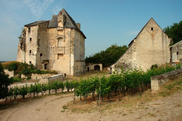 Vue d'ensemble avec le logis seigneurial à gauche, la galerie au fond et la chapelle à droite.