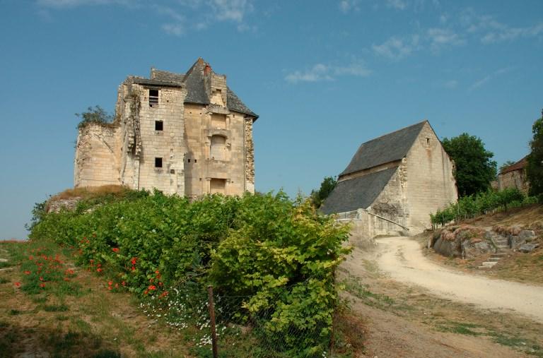 Vue d'ensemble au sud-ouest avec le logis seigneurial et la chapelle.