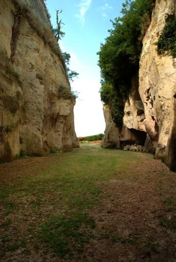 Fossés creusés dans le tuffeau.