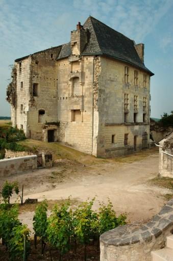 Logis seigneurial : vue d'ensemble au nord-est.