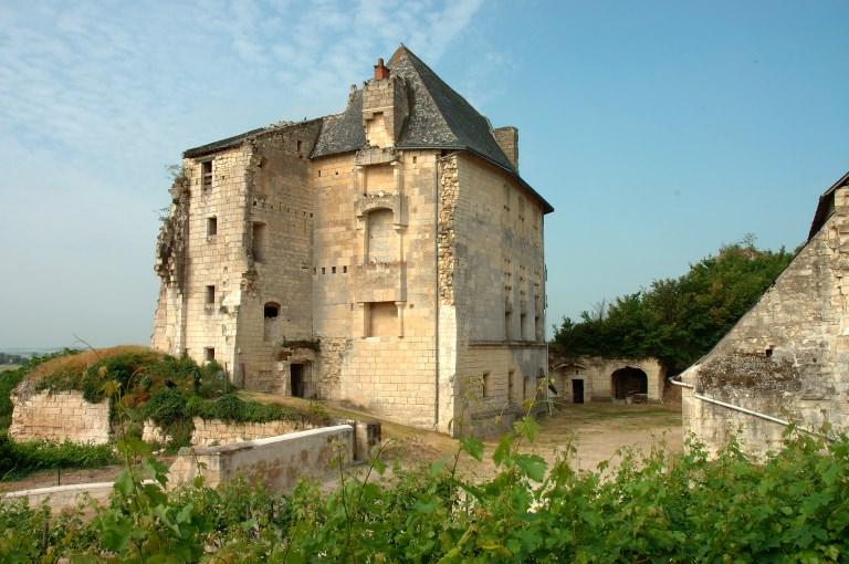 Logis seigneurial : vue d'ensemble au nord-est avec la galerie à l'arrière plan.