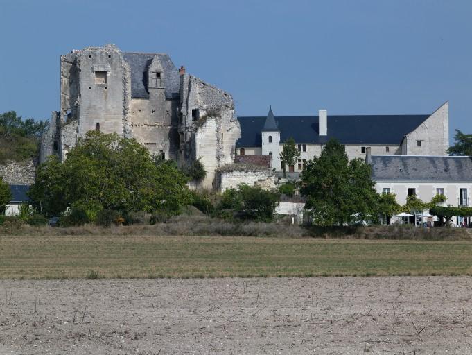 Vue d'ensemble au sud avec le logis et les communs.