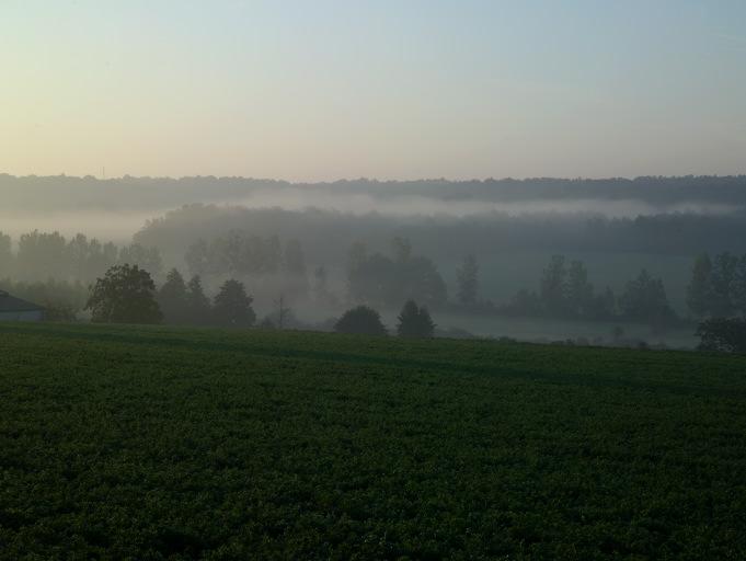Brume au-dessus de la Manse.