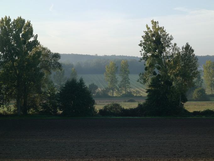 Végétation.