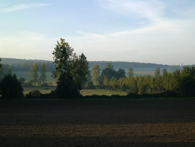 Végétation.