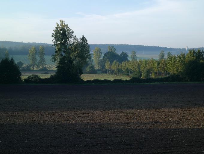 Végétation.