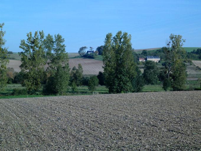 Arbres.