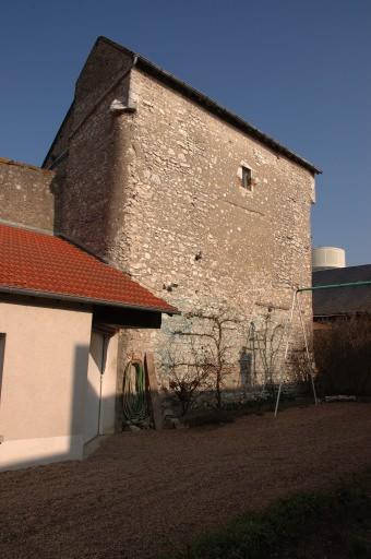 Vestige du bras sud du transept (vue prise de la propriété du 52, rue des Querres).