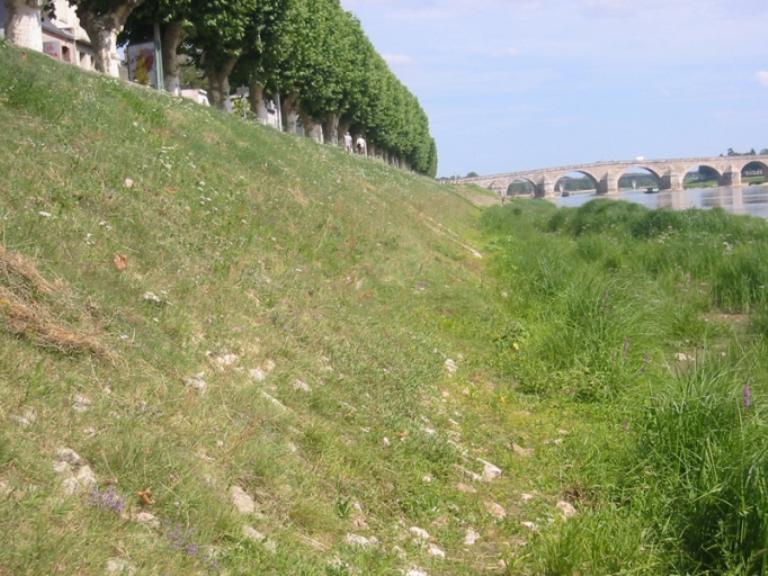 Perré de rive, quai Lestrade (2).
