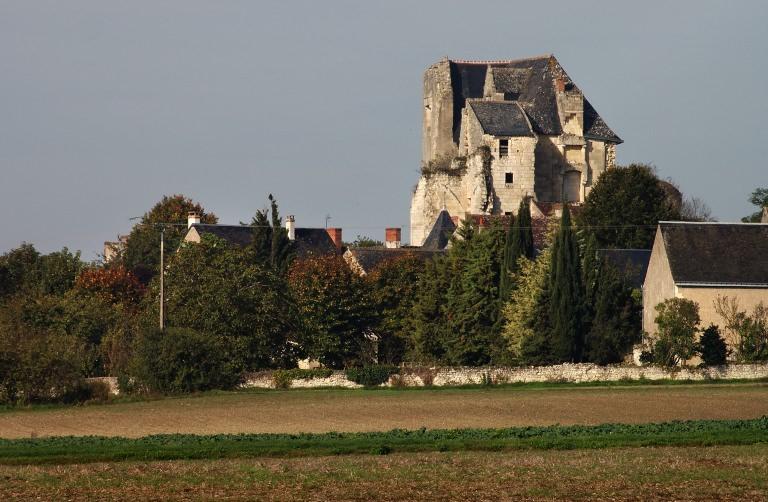 Vue du site au sud.