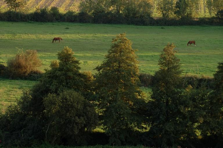 Vallée de la Manse.