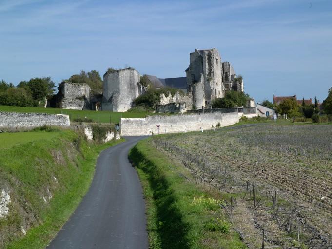 Vue générale à l'ouest, depuis la route.