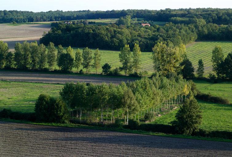 Vue prise depuis l'église.
