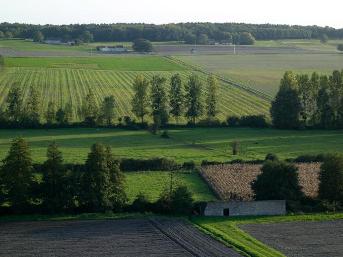 Vue prise depuis l'église avec les champs et les prés descendant jusqu'à la Manse et le lavoir du bourg. La commune de Crouzilles s'étend derrière le rideau de peupliers qui borde la rivière.