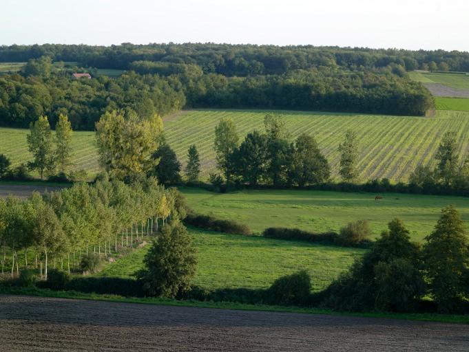 La vallée de la Manse au sud du bourg.