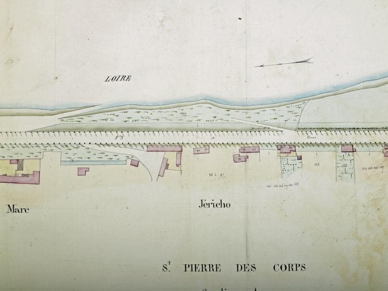 Carte de la Loire dans le département d'Indre-et-Loire, milieu du XIXe siècle. Détail sur la levée à Chouzé (archives départementales du Loiret, 12 Fi 7-28).