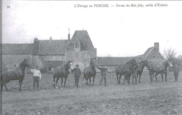 Vue générale du manoir depuis l'ouest (carte postale ancienne, début 20e siècle). (Collection privée du propriétaire du Bois Jolly).