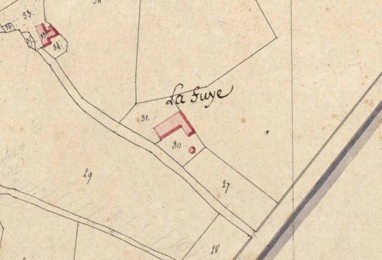 Extrait du plan cadastral de 1811, section D. (Archives départementales d'Eure-et-Loir, 3 P 4768).