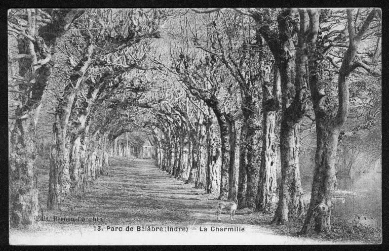 Le parc, la charmille, vers 1908.