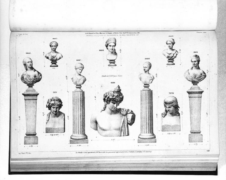 Planche 240 du catalogue de la fonderie d'art Ducel : bustes antiques e modernes, gaines, colonnes.