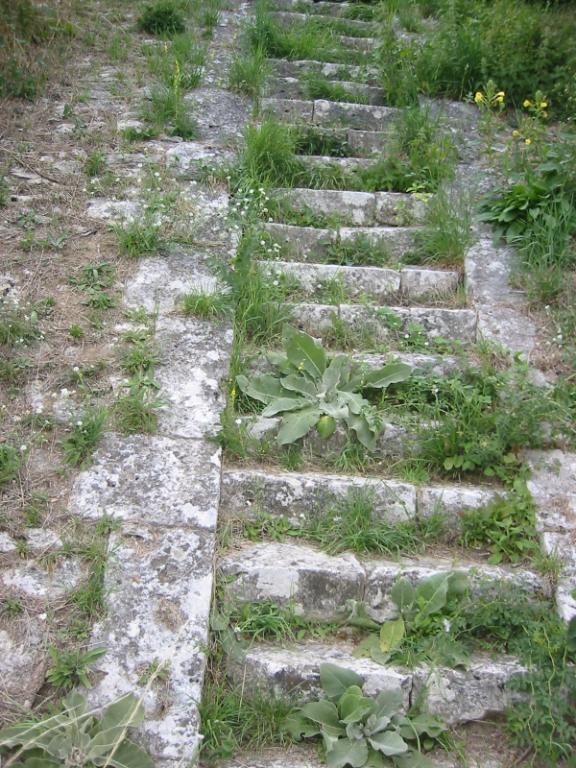 Escalier du perré de rive situé aux abords de la cale abreuvoir simple de la Grande Mouche..