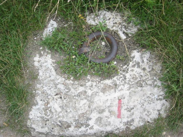 Organeau situé aux abords de la cale abreuvoir simple de la Grande Mouche.