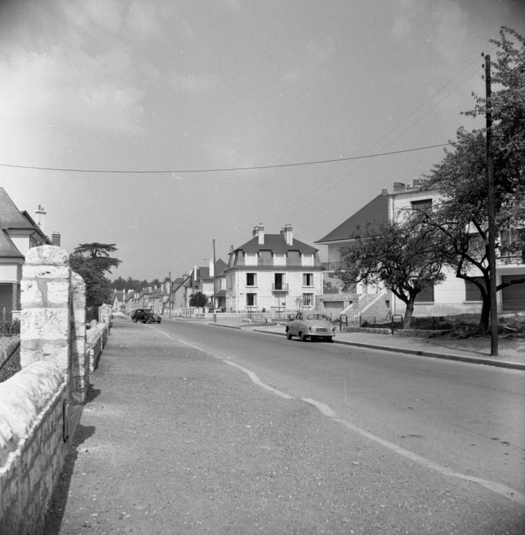 25-27, 29-31 et 33 avenue du Général-Leclerc, 1954. (Ministère de l'écologie, de l'énergie, du développement durable et de l'aménagement du territoire, 20367).