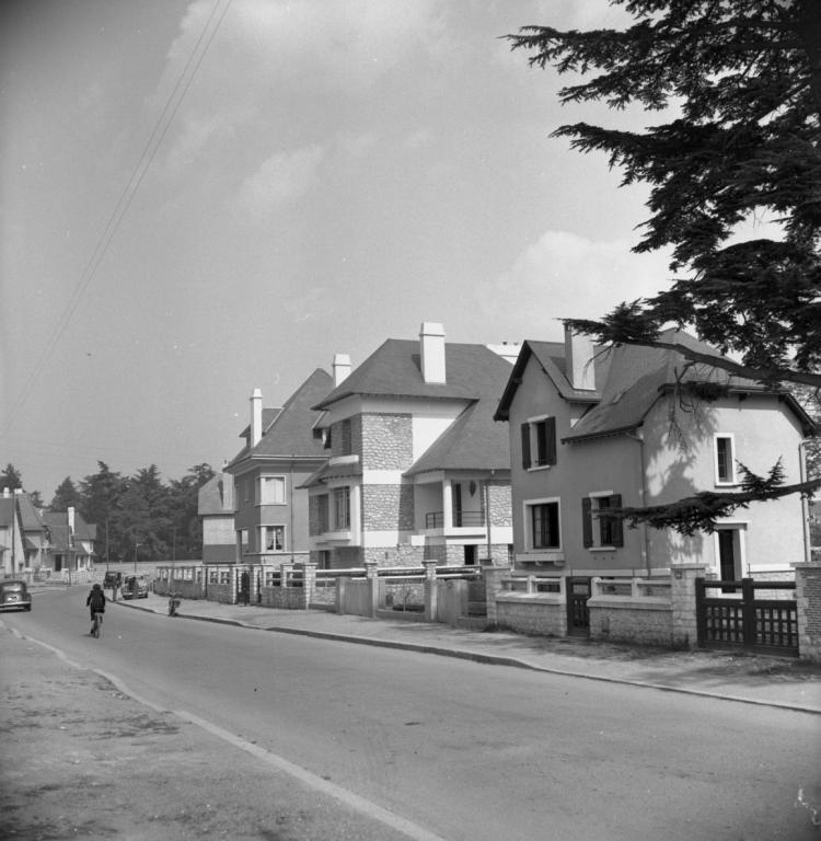 46, 48 et 50 avenue du Général-Leclerc, 1954. (Ministère de l'écologie, de l'énergie, du développement durable et de l'aménagement du territoire, 20371).