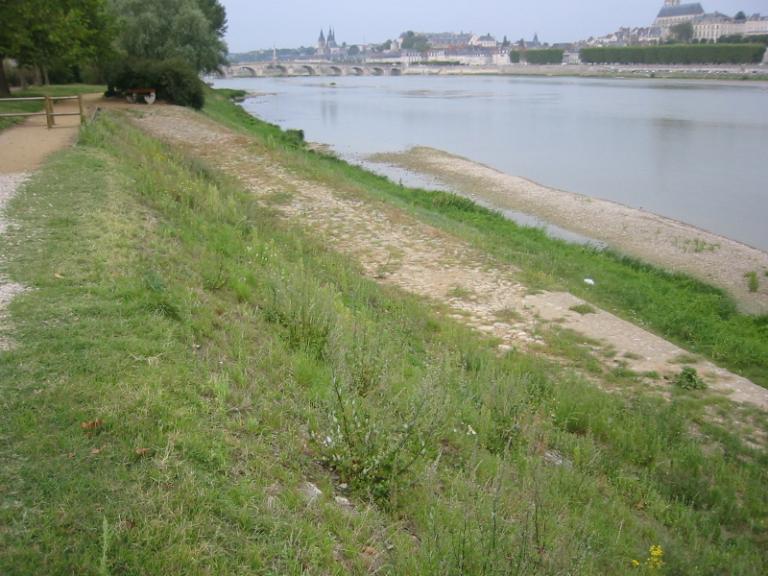 Vue d'ensemble vers l'aval.