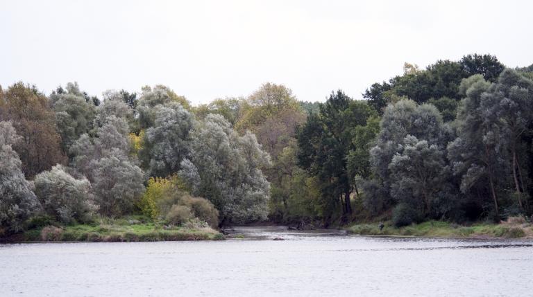 L'embouchure de la rivière du Beuvron dans la Loire.