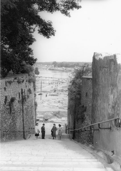 La ville basse détruite, vue depuis les petits degrés du château, 1943. (Archives départementales de Loir-et-Cher, Blois, 10 Fi 54).