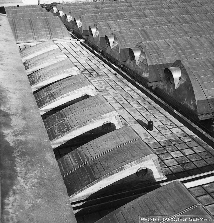 Vue des sheds depuis la terrasse du troisième étage, [195?]. (archives privées du groupe Serge Laski, établissements Mame).