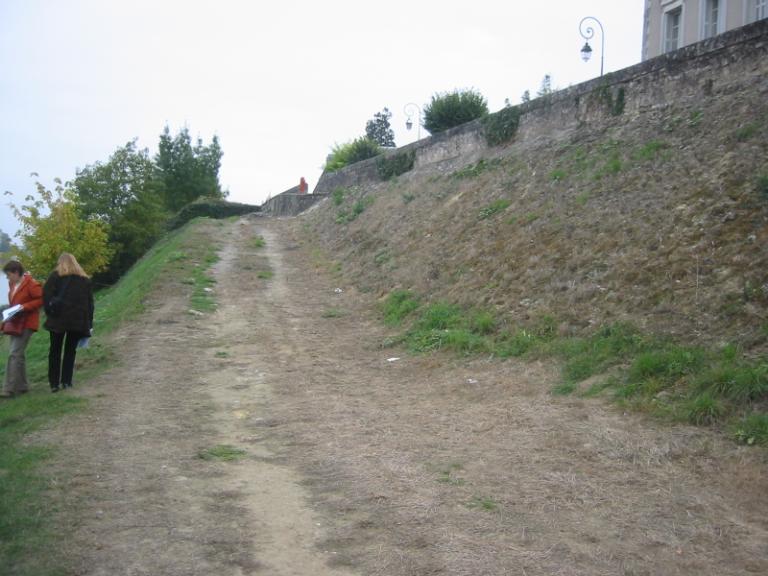 Plan de la Loire dans le département d'Indre-et-Loire (service spécial de la Loire), milieu XIXe siècle, détail sur Amboise, rive gauche en aval du pont : le port. (archives départementales du Loiret, 12 Fi 7-28).