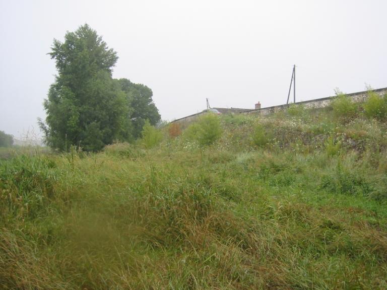 Le port et le château. Photographie ancienne par Mieusement. (médiathèque de l'architecture et du patrimoine, APMH0000084).