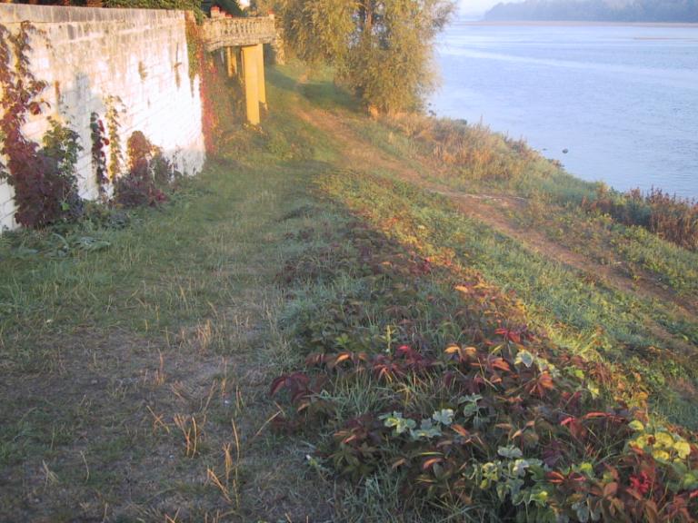 Rive gauche, entre la passerelle de Saint-Symphorien et le pont Mirabeau, perré longeant le quai : escalier et organeau. Vue prise vers l'amont.