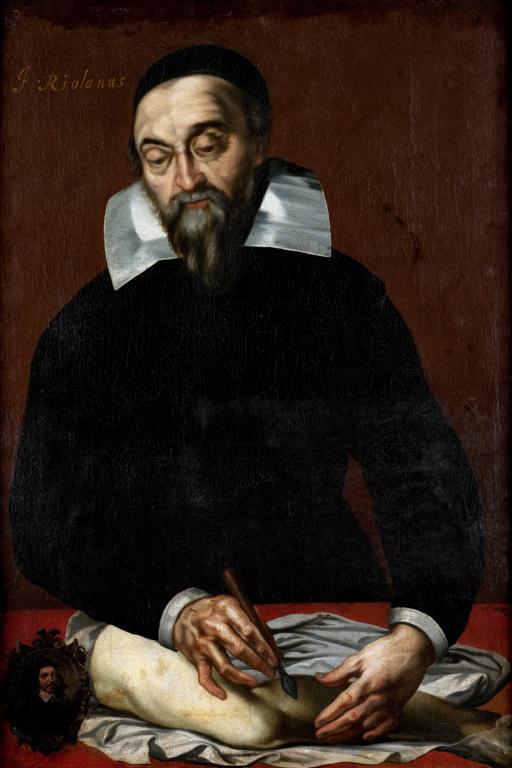 Tableau : portrait de Jean Riolan II (1577-1657)