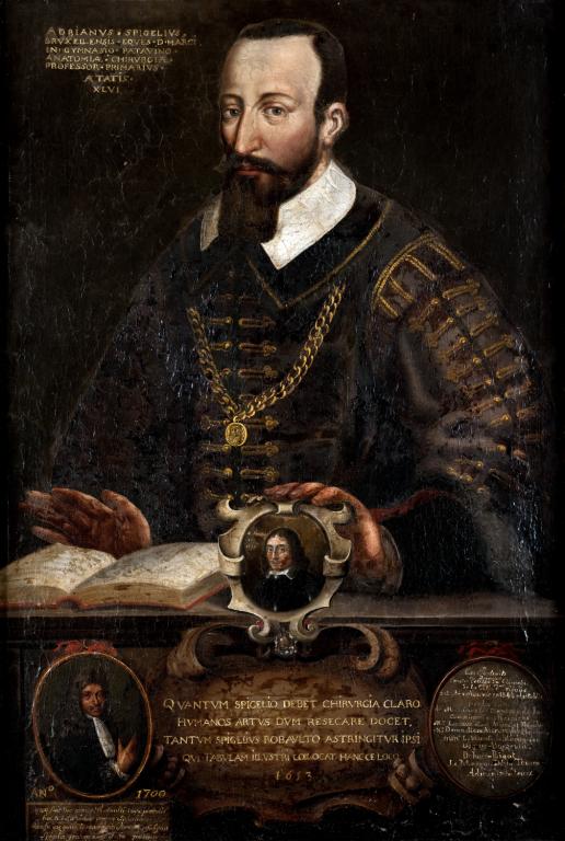 Tableau : portrait d'Adrian Van den Spieghel (1578-1625)