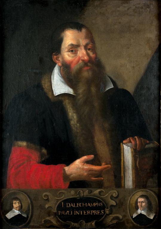 Tableau : portrait de Jacques Daléchamps ( 1513-1588)