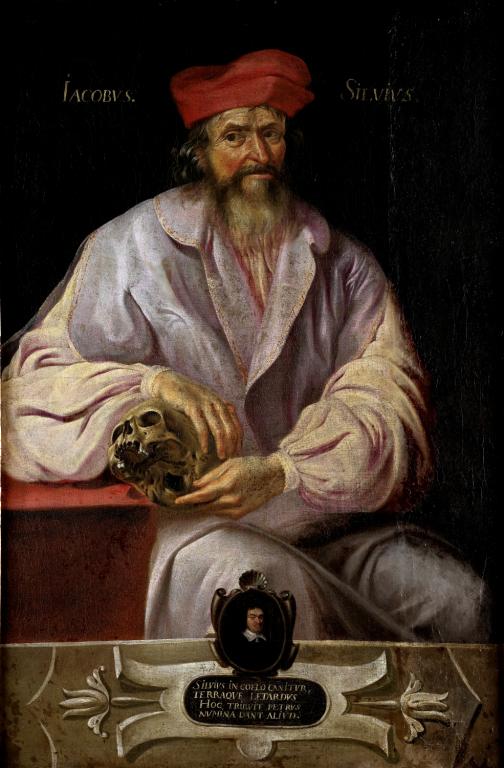 Tableau : portrait de Jacques Dubois ( 1478-1555)