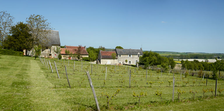 Vue d'ensemble avec les prés alentour.