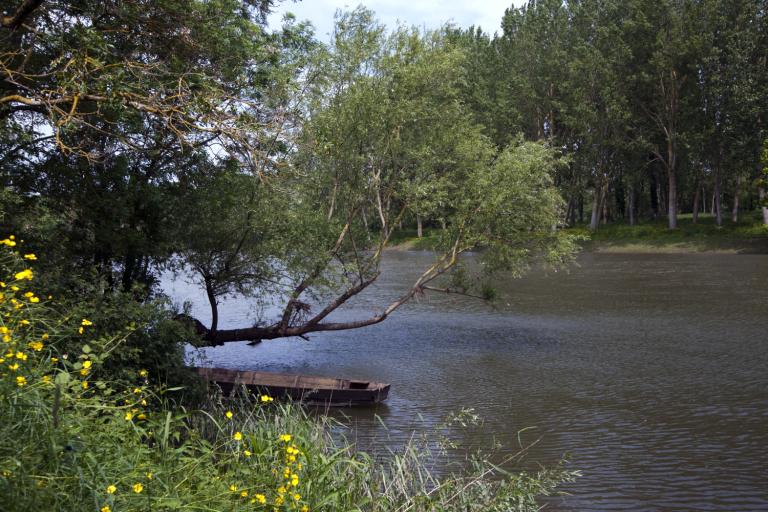 La rampe et la cale situées immédiatement en aval de la passerelle Saint-Symphorien. Vue prise vers l'amont.