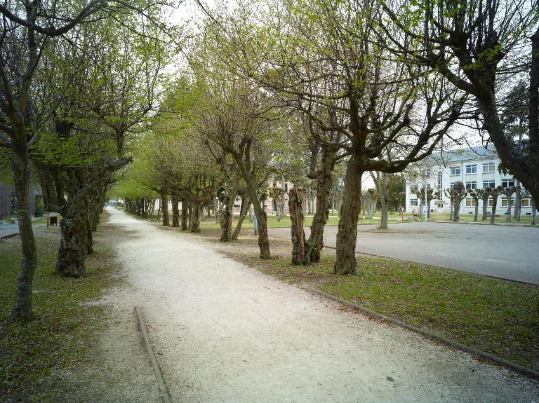 Allée végétale, vue depuis l'ouest.